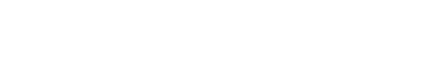 Brain.Space LTD